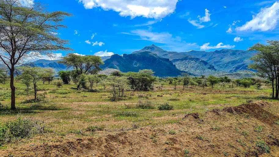 Environmental Protection in Karamoja