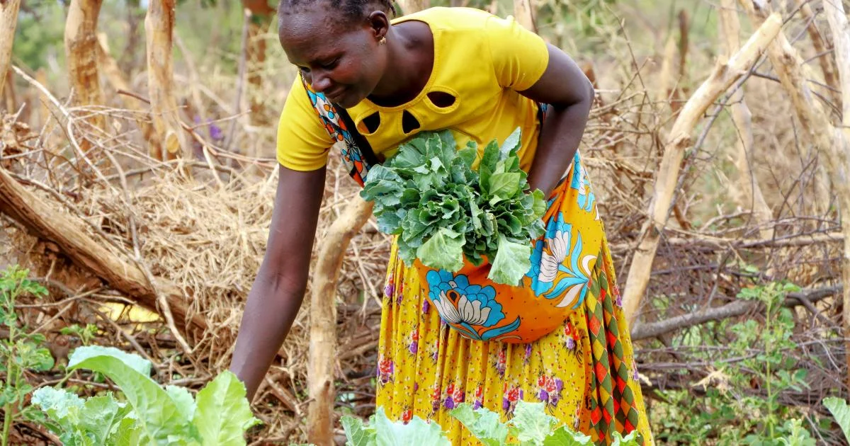 Sustainable Livelihoods in Karamoja